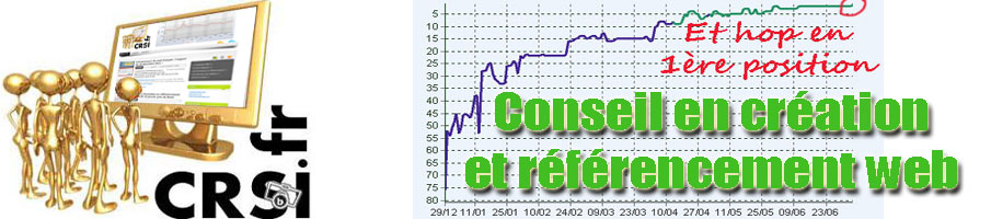 CRSI - Conseils et formations au référencement près de Brest