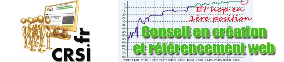 CRSI - Conseils et formations au référencement près de Brest CRSI - Conseils et formations au référencement près de Brest